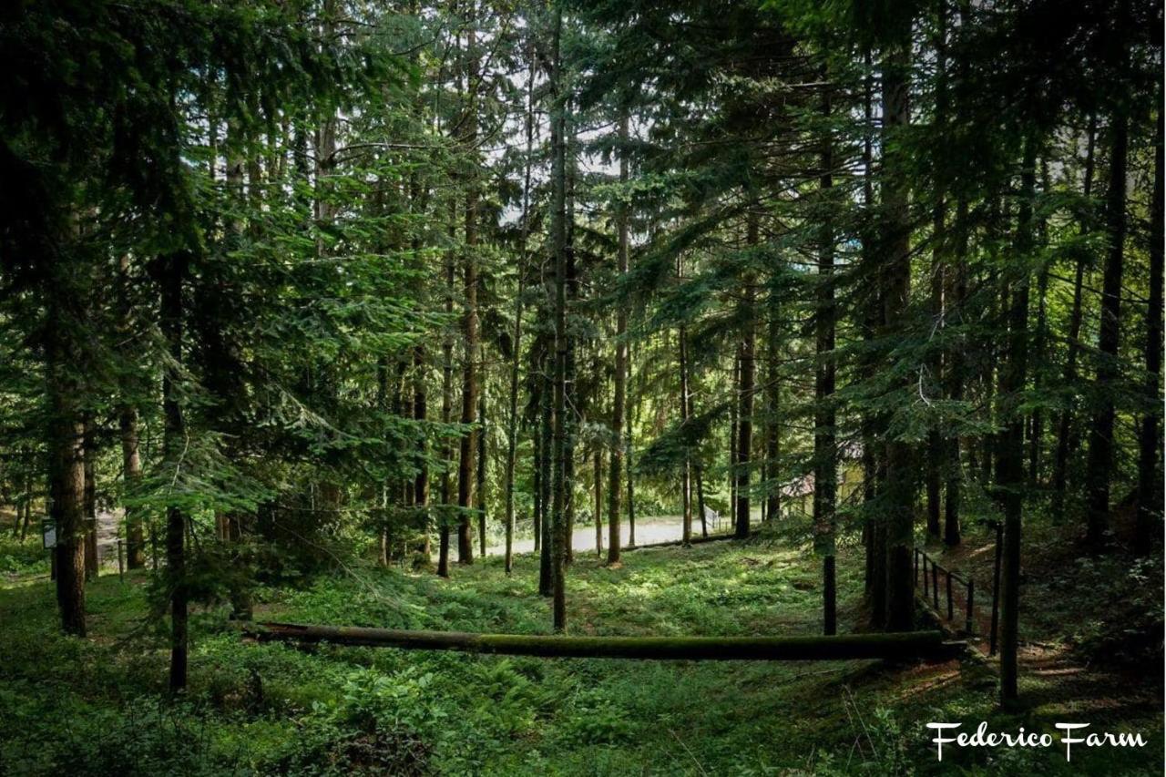 Camping Grondola - Federicofarm Pontremoli Buitenkant foto
