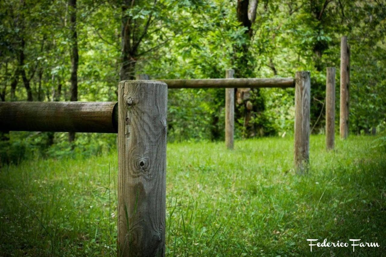 Camping Grondola - Federicofarm Pontremoli Buitenkant foto