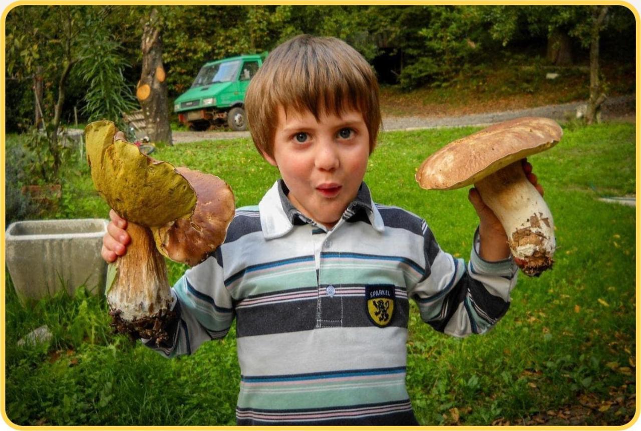 Camping Grondola - Federicofarm Pontremoli Buitenkant foto