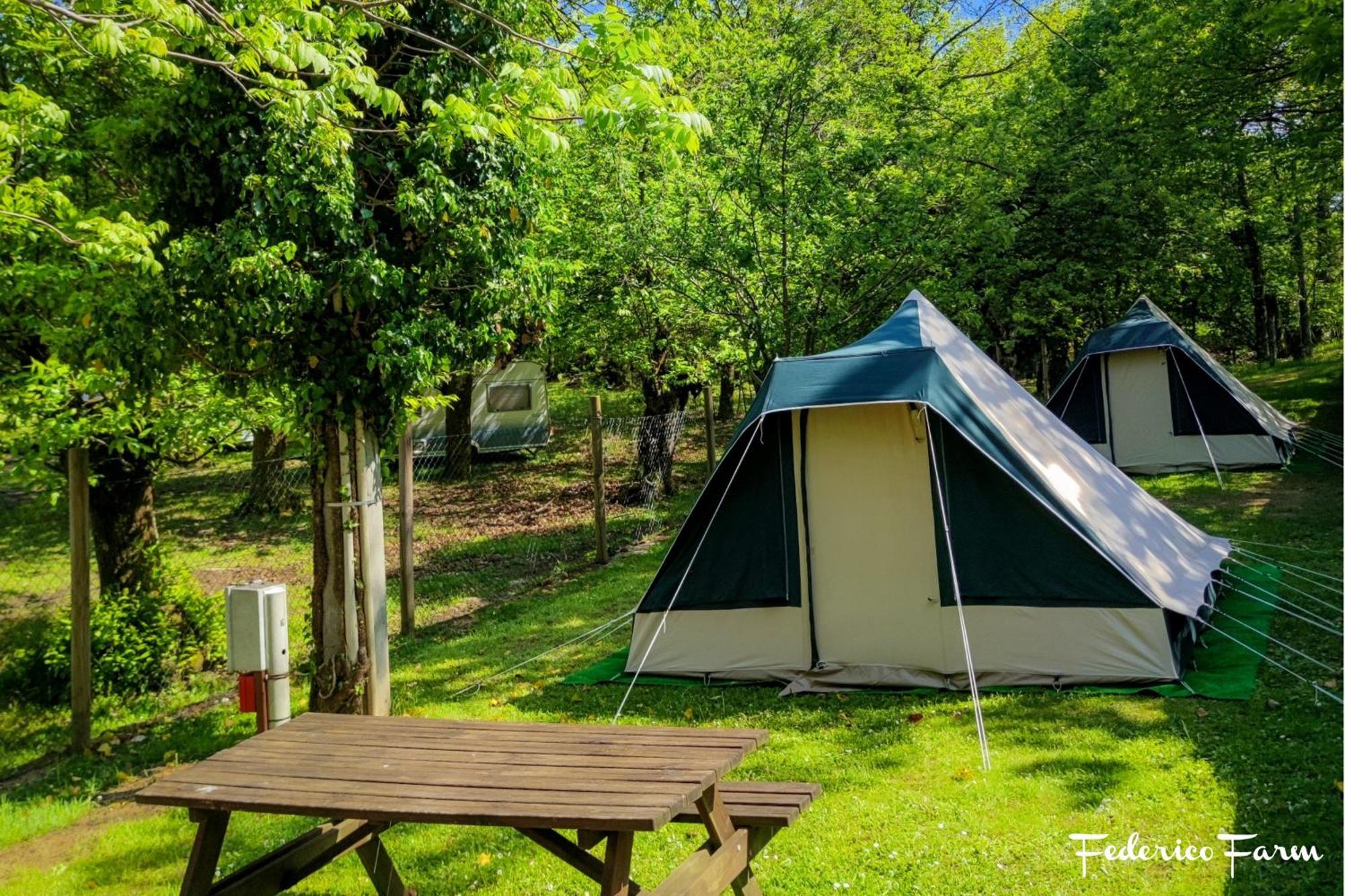 Camping Grondola - Federicofarm Pontremoli Kamer foto