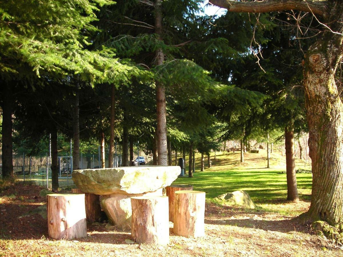Camping Grondola - Federicofarm Pontremoli Kamer foto
